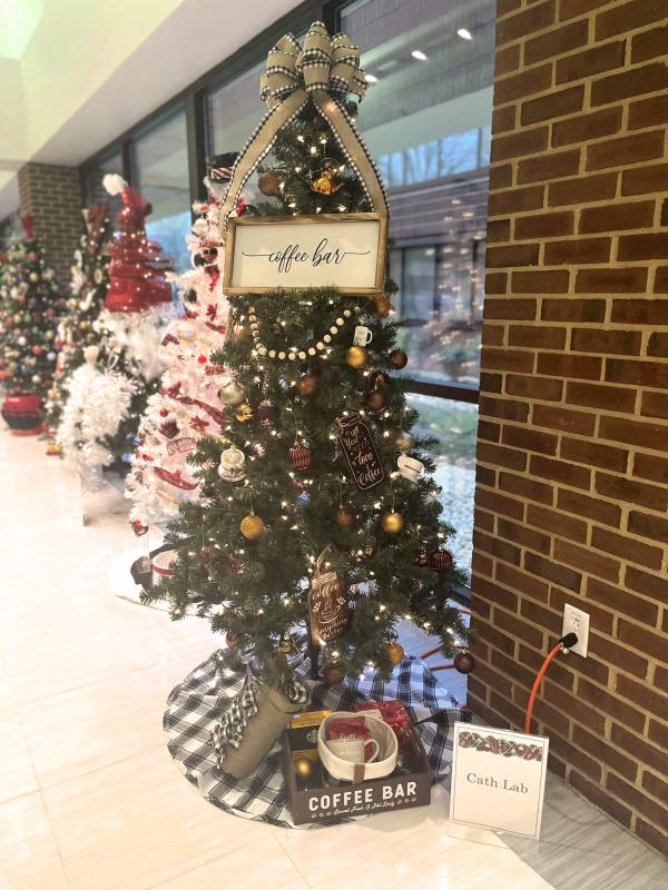 Bayhealth festival of trees raises 11,000 Cape Gazette